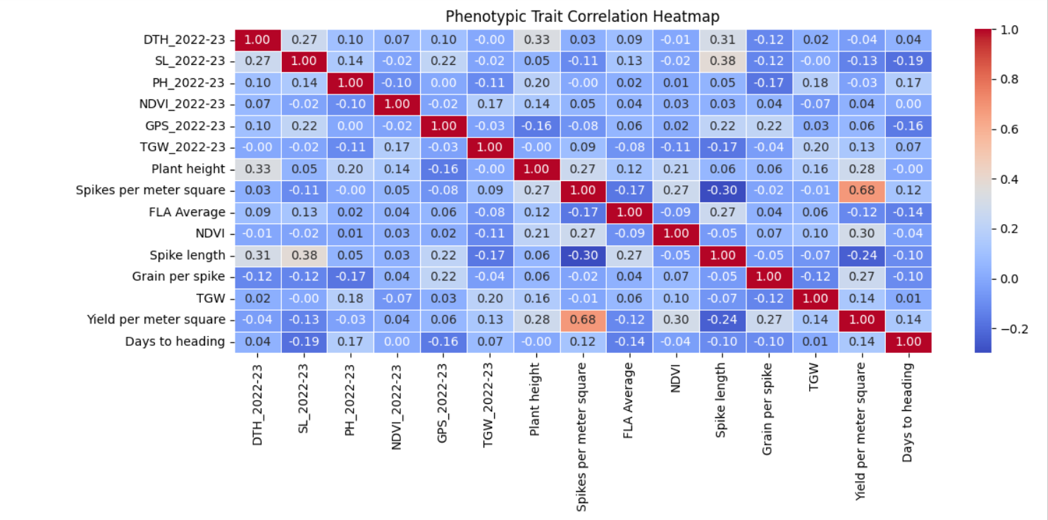 Phenotype Graph