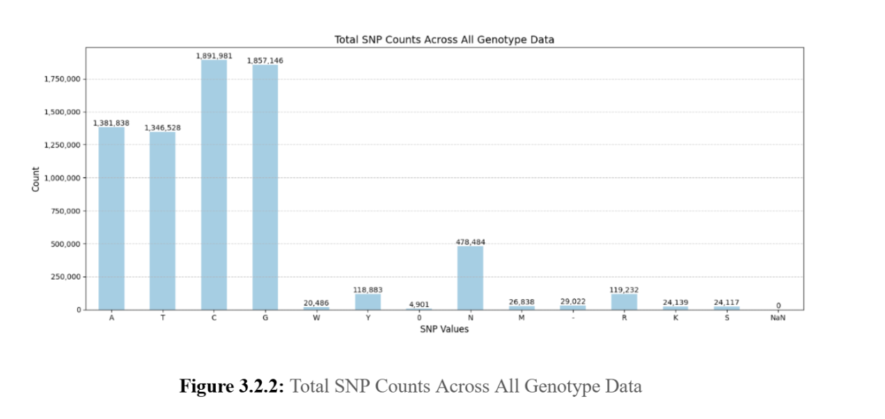 Genotype Graph